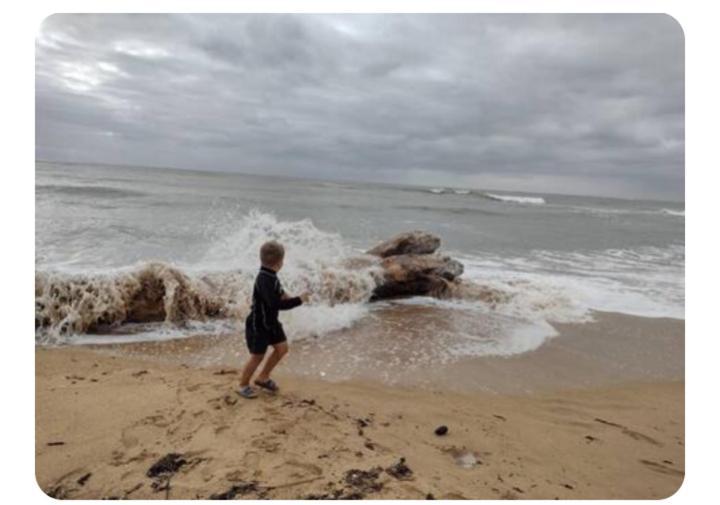 Les Pieds Dans L'Eau Acces Direct A La Plage La Cotinière エクステリア 写真